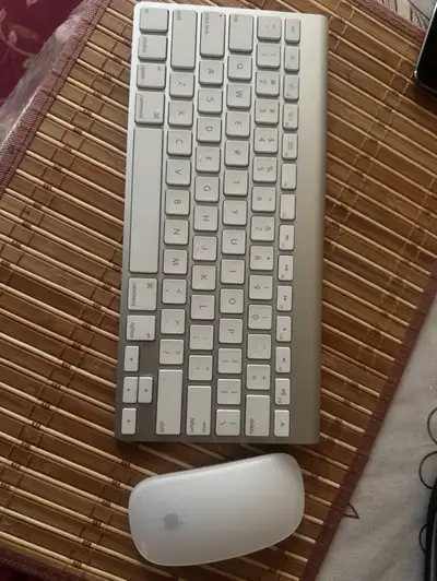 ✅Apple Wireless Keyboard ✅ Apple Wireless Mouse ✅ Great and Working Condition ✅ Required AA Battery