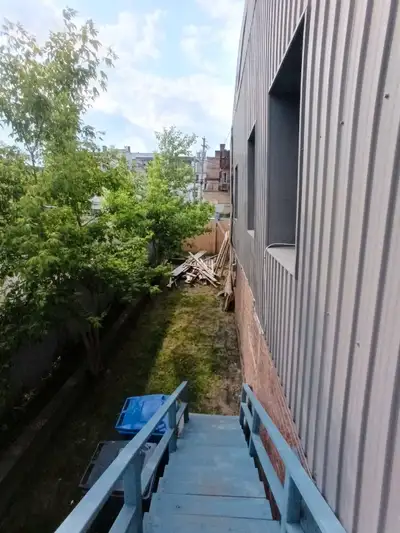 Bois à donner pour faire feu de camp. Venez le couper et le prendre il est à vous. Grand-mère, Shawi...