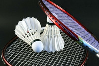 Badminton group training after school program $30/hr