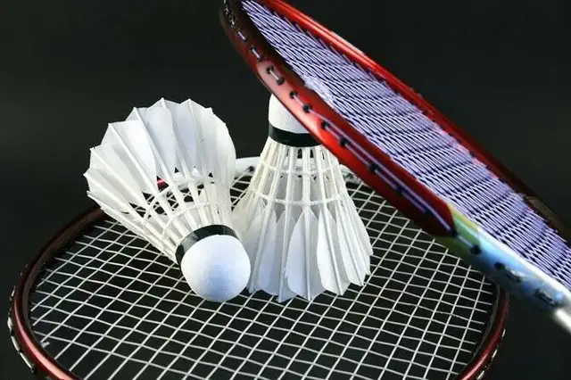 Badminton group training after school program $30/hr64628640331265120