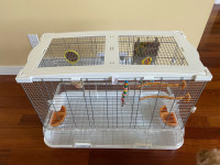 Bird cage with toys 