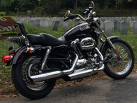 2007 Harley Davidson Sportster Low 1200