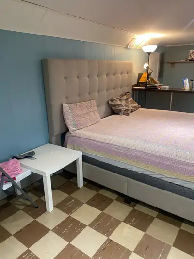 basement for rent near central Windsor