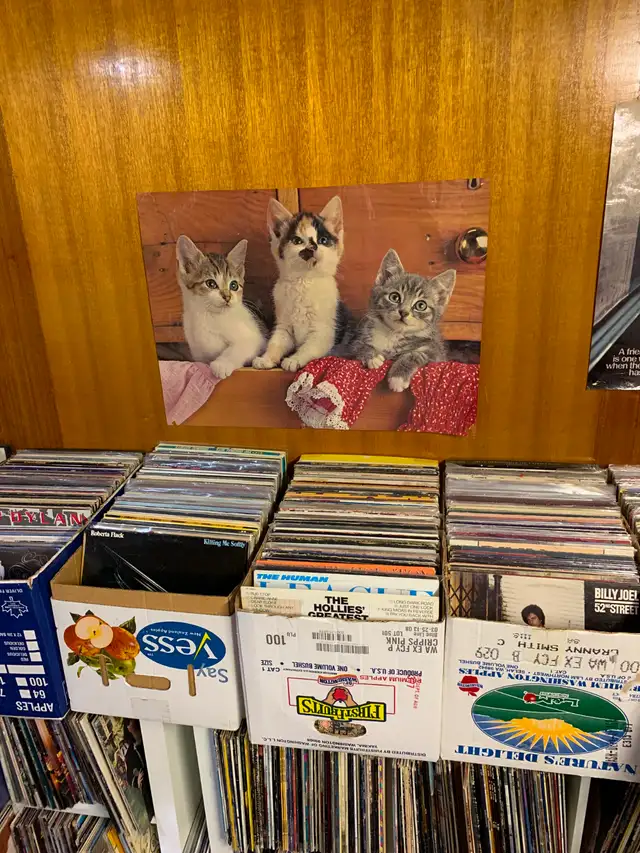Billions of Amazing LP records!! in CDs, DVDs & Blu-ray in Calgary - Image 10