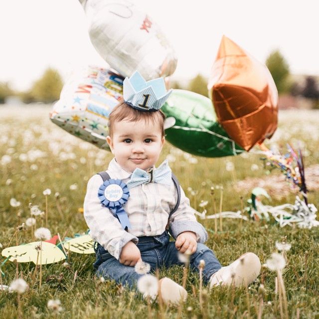 Kids, Cake Smash, Birthday and Family Photography in Photography & Video in Windsor Region