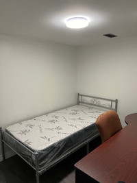 Newly Renovated Private Room for Rent near UW (Summer 2024) $650
