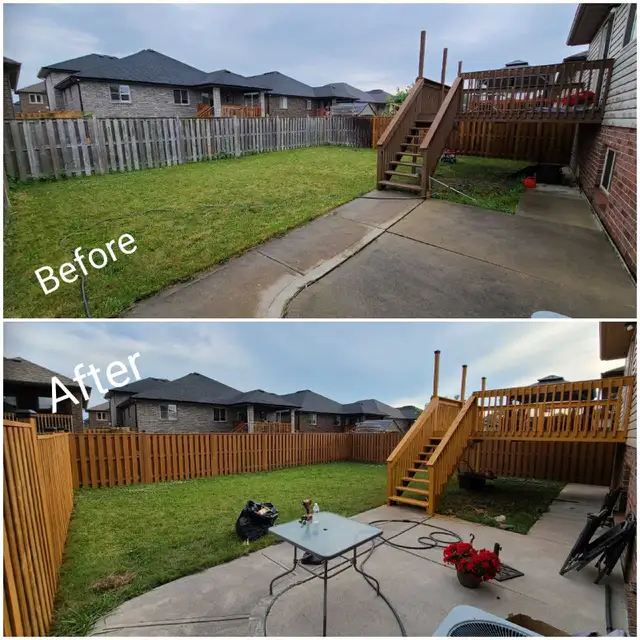 Professional Painter 482653092541911045