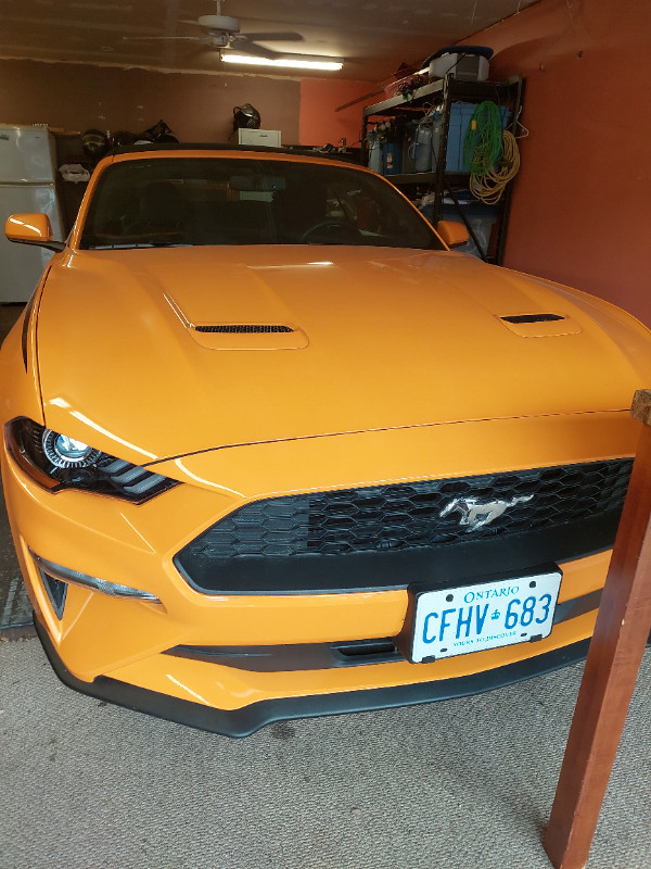2018 FORD MUSTANG CONVERTIBLE Cars & Trucks Sault Ste. Marie Kijiji