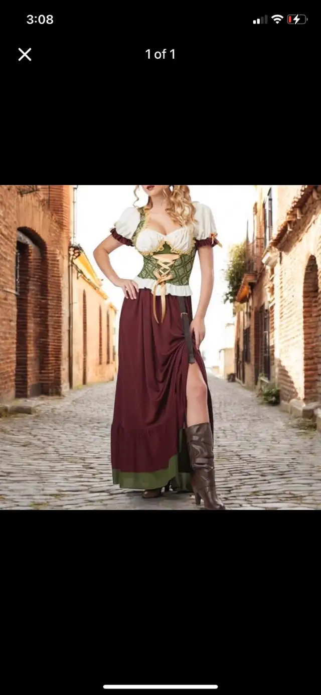 NEW Renaissance Bar Wench Costume (S, 6-8)63738400274435120