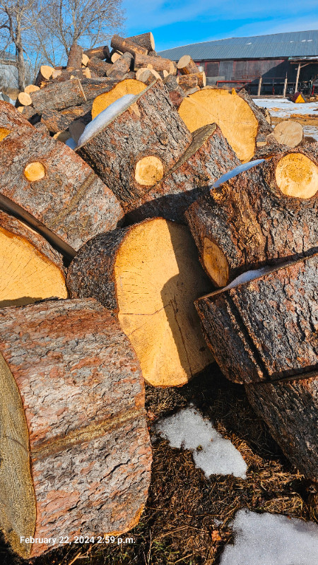 FIRE WOOD SALE in Fireplace & Firewood in Calgary - Image 2