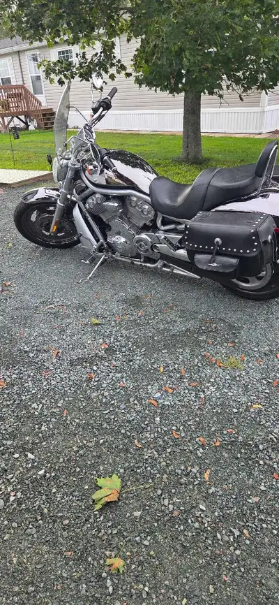 2009 V-rod, lowered Rynart exhaust, Corbin seat, custom black chrome. Well maintained, one of a kind...
