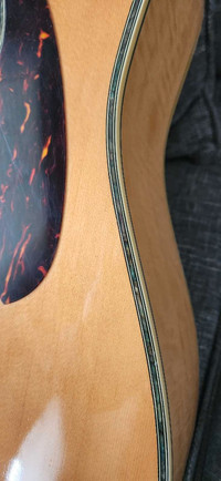 Ibanez M312 12 string guitar 