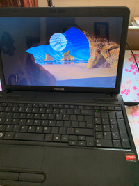Toshiba Satellite Laptop C650D with Win 10 -new battery,screen