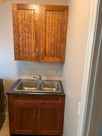 Bathroom vanity and matching laundry room cabinets with sinks.