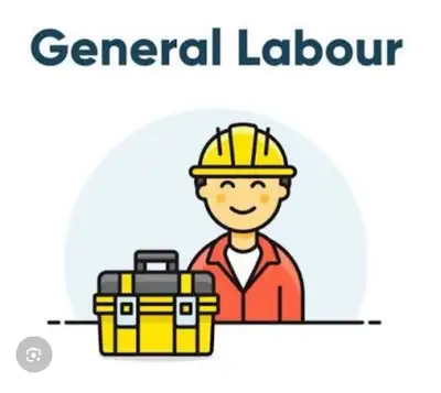 Monday to Friday 9:00 to 5 pm. Person who can do handyman work and willing to learn. Interested. Ple...
