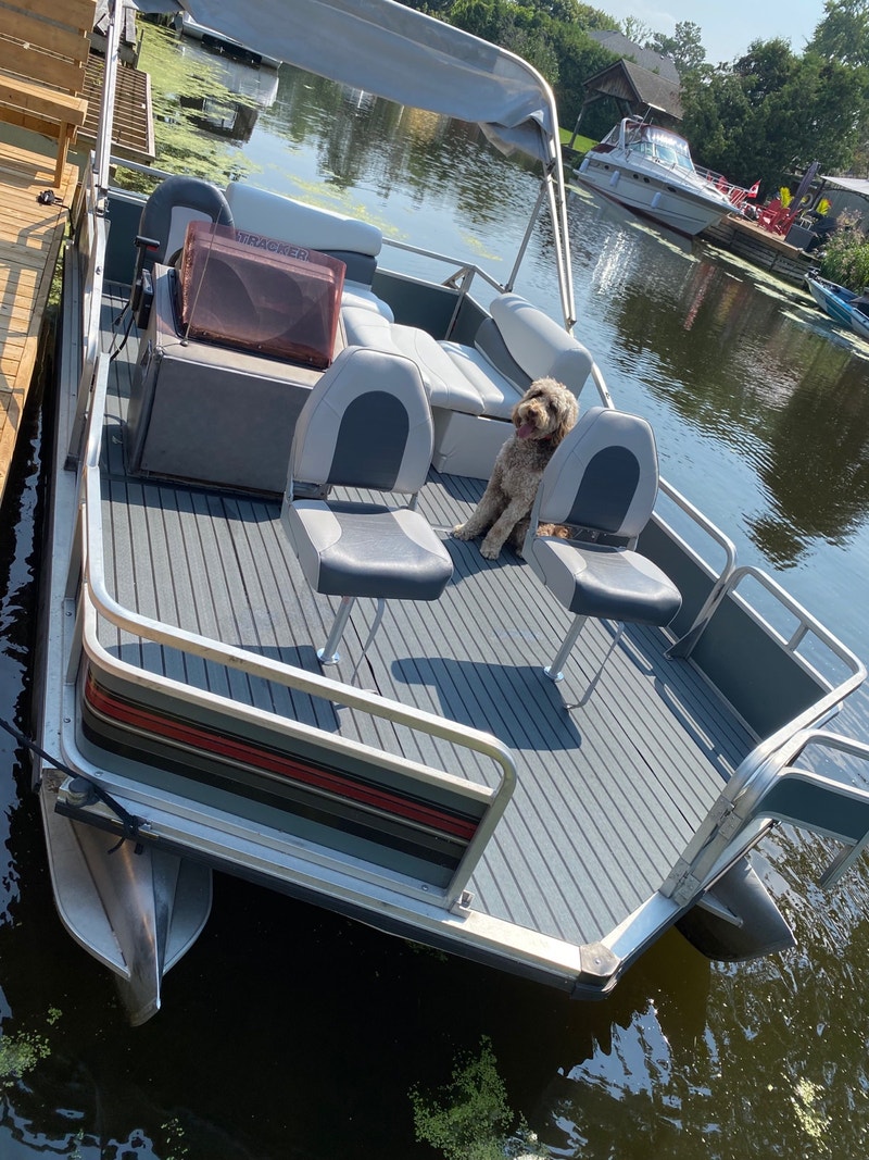 Refurbished pontoon boat! Powerboats & Motorboats Markham / York Region Kijiji