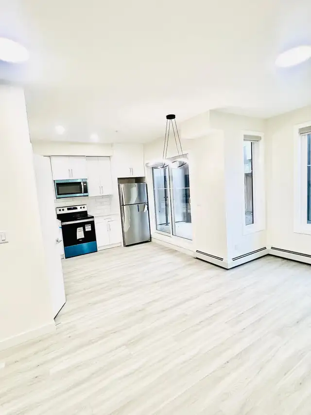 Brand new 2 bedroom 1 bath apartment Main Floor Skyview