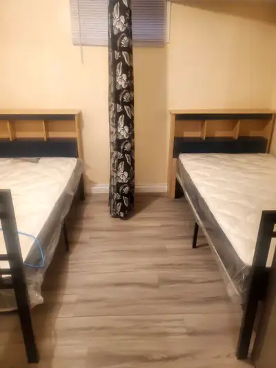 Room furnished share no smoking or drinking jane and steels 550
