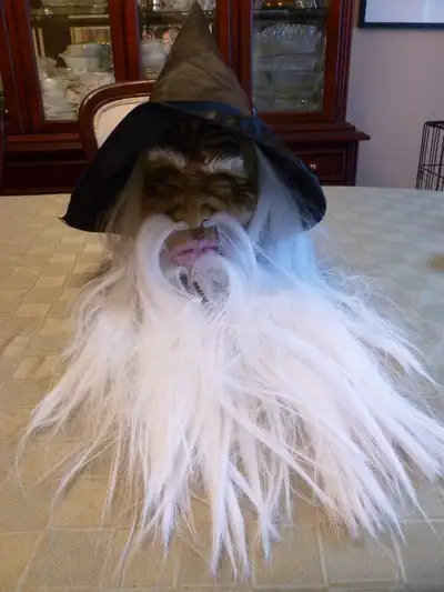 HALLOWEEN Wizard & Michael Jackson full masks -- amazingly real!, View more