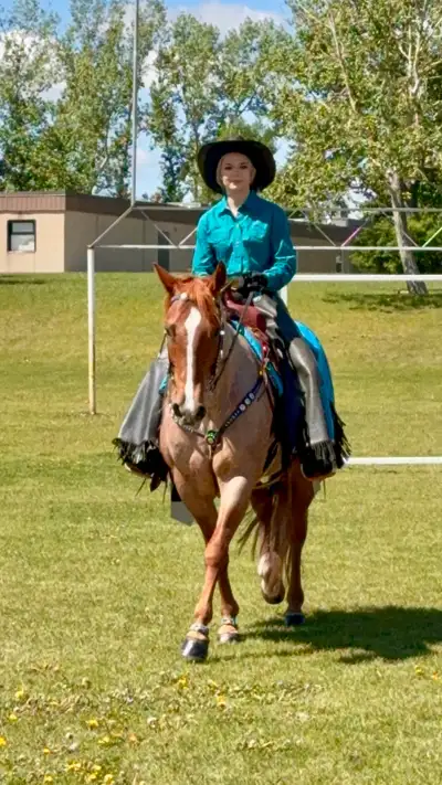 Reba is a stunning been there done that red roan Mare. From participating in parades to running flag...