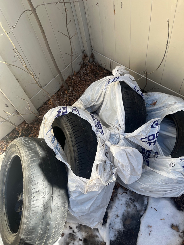 4 Firestone tires  in Tires & Rims in Strathcona County - Image 2