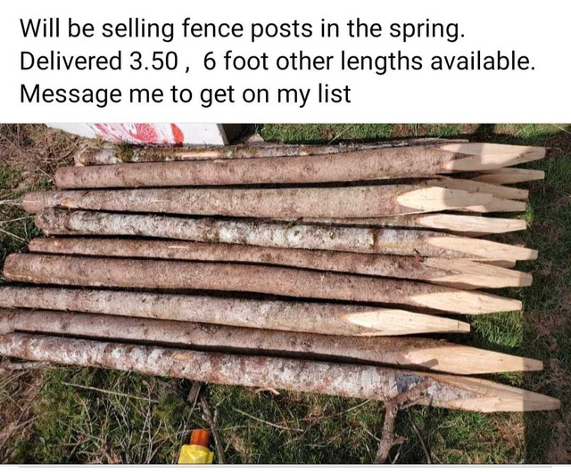 Fence posts for sale.  Free delivery  in Decks & Fences in Truro