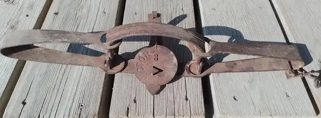 Vintage Victor Long Spring Coyote Traps.  Eight traps in total. in Fishing, Camping & Outdoors in Lloydminster - Image 2