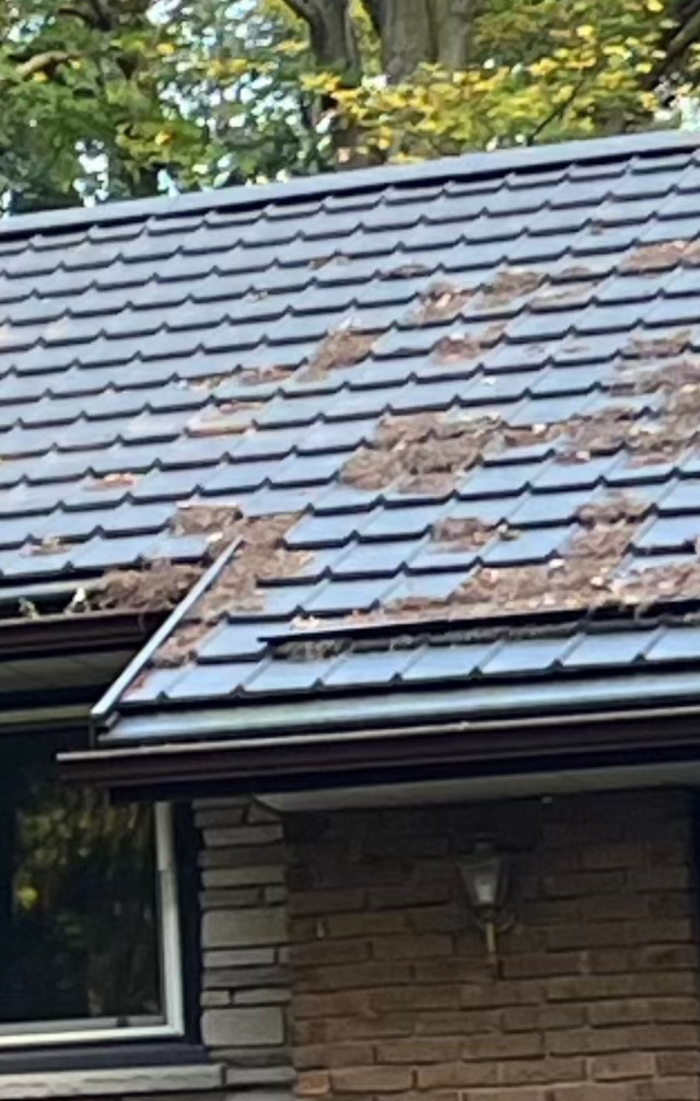 Used metal roof in Roofing in Hamilton - Image 2