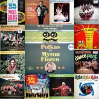 14x Vintage Polka Folk LP Records