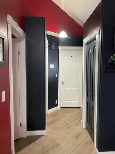 17 Years Experienced Painter, View more