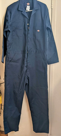 Blue Dickens Long Sleeve Coveralls