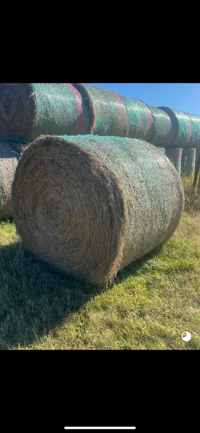 Hay , alfalfa/brome grass, put up in good condition (no rain). Located roughly 30 miles west of York...