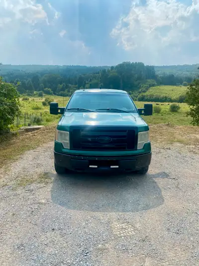 Je vends mon Ford F-150 2009, un camion robuste avec beaucoup de potentiel pour un nouveau propriéta...