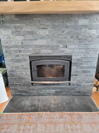 Pacific energy Fireplace