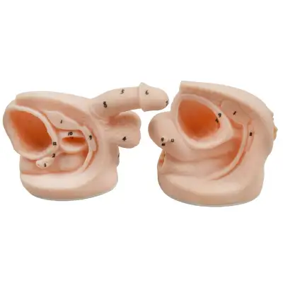 Item Number: 220210 Parameter: Material:PVC Shipping Size:9.5"L×6.3"W×6.7"H(24×16×17cm) Shipping Wei...