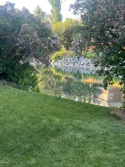 1 bed room apartment in mission right on the elbow river million dollar view with newly renovated ap...