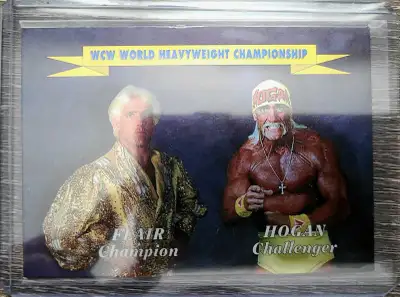 1994 WCW Bash At The Beach Promo Card , View more