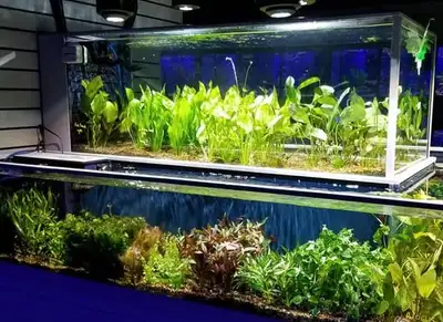 Looking to take care of any unwanted fish, View more
