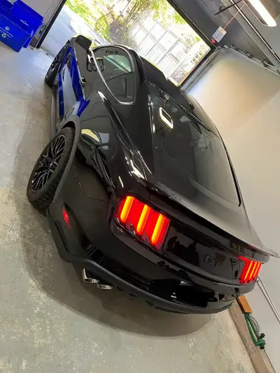 Mustang GT 5.0