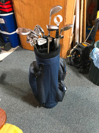 Ready to golf! Complete set of Palmer Premium ladies golf clubs