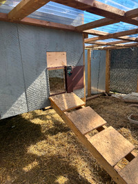 Chicken coop