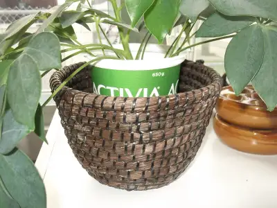 Tel quel,maison sans fumée. Le pot de yogourt c est pour vous donner une idée de la dimension du pan...