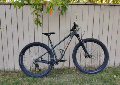 Trek Roscoe 7, View more