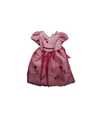 New (Size 18-24M, 2) party, special occasion & flower girl dress