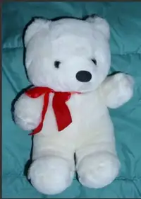 - White Teddy Bear