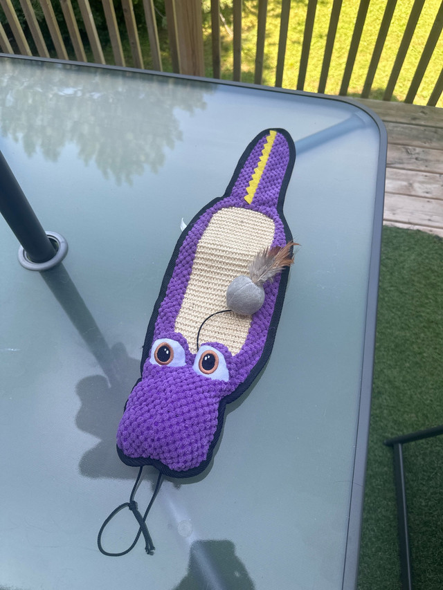 Cat Plaything in Accessories in Kitchener / Waterloo
