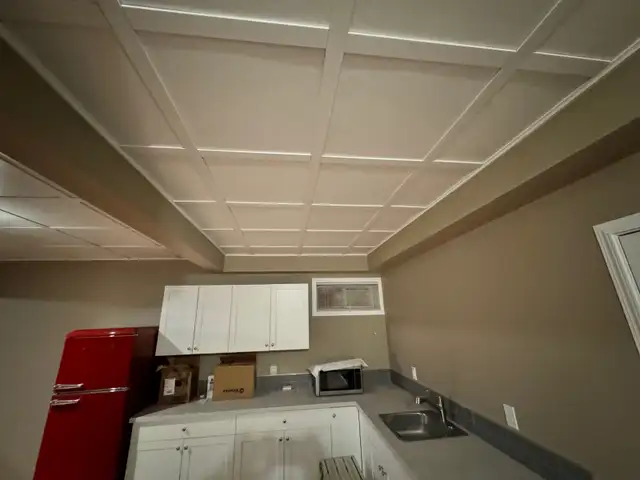 Professional Ceilings/TBar /Bulkheads Commercial & Residential63005662583425121