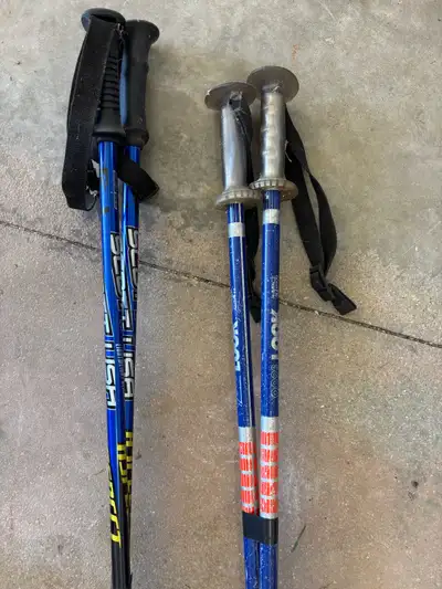 Ski Poles, View more