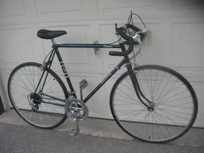 Large size Raleigh Citation 10 Speed Road Bike, View more