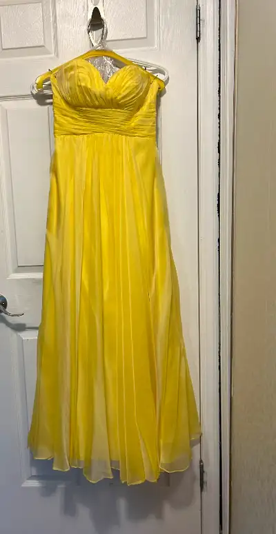 Picture doesn’t do this dress justice! Alcye Paris size 4 Only worn 1x - it has been dry cleaned so...